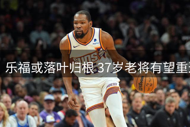 乐福或落叶归根 37岁老将有望重返森林狼开启最后一季